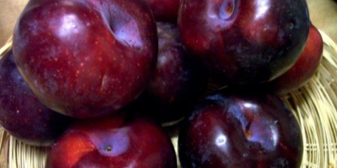 Prednosti i štete šljive za ljudsko zdravlje